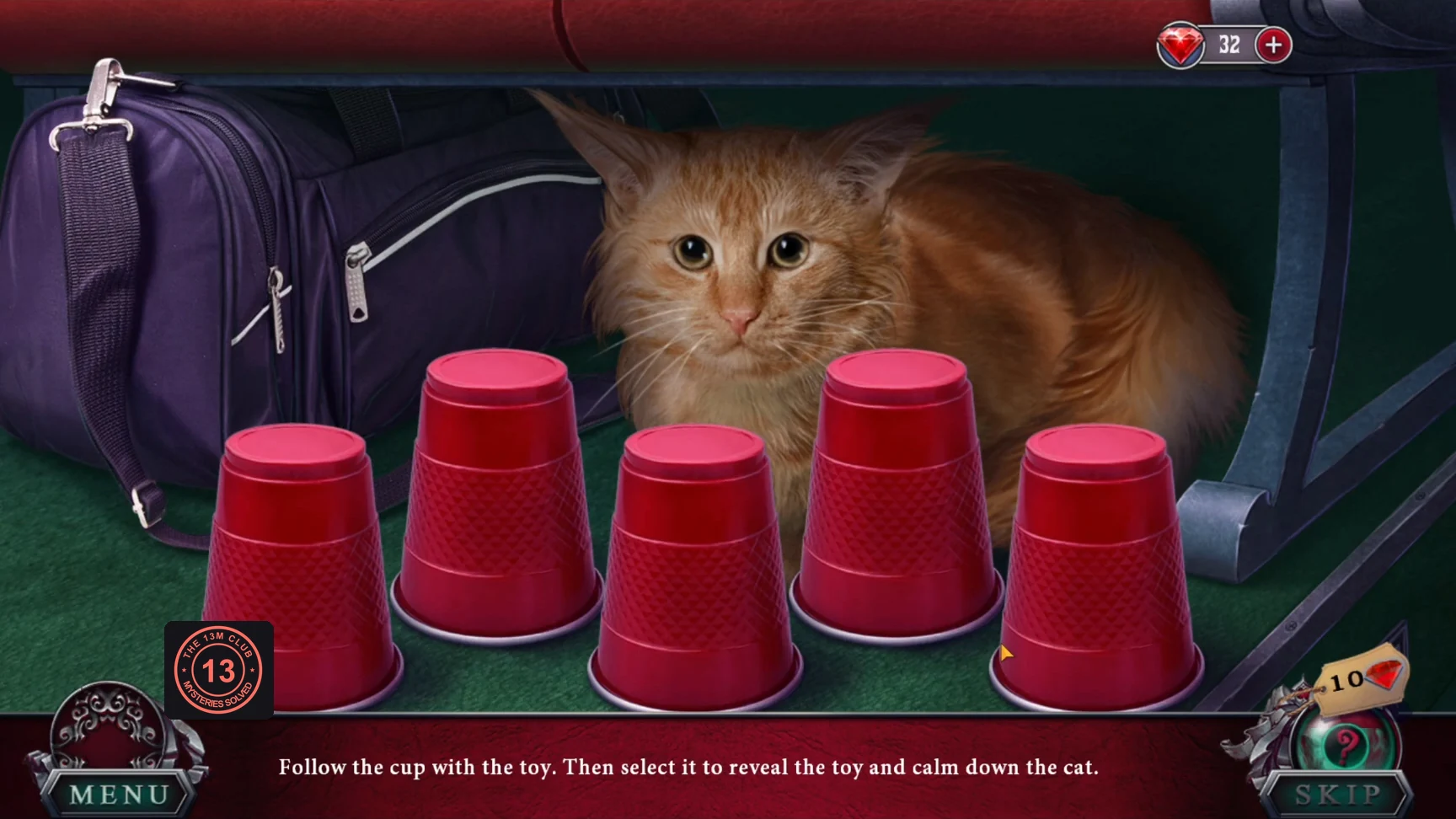 Five red cups in front of the cat on the bus floor