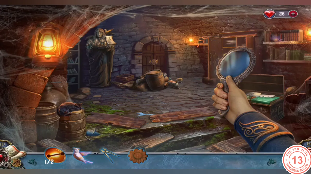 Basement with the hand mirror held up toward the barrels where the cat sits