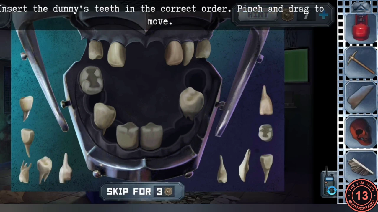 The dental jaw model held open by two clamps, with several sockets empty and loose teeth of different shapes laid out on both sides, and the instruction to insert the teeth in the correct order.