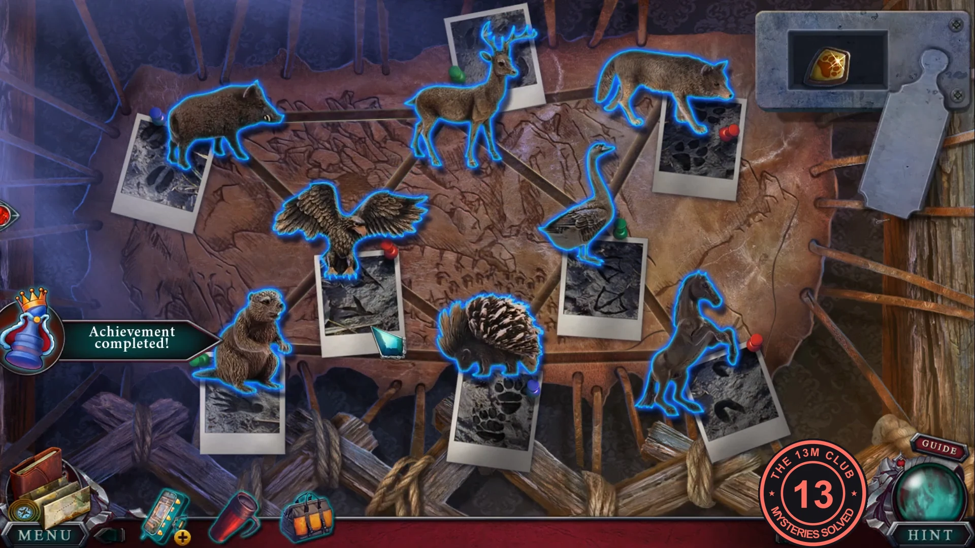 All eight animals glowing blue on the correct footprints, with the compartment open